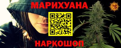гидра Дубна