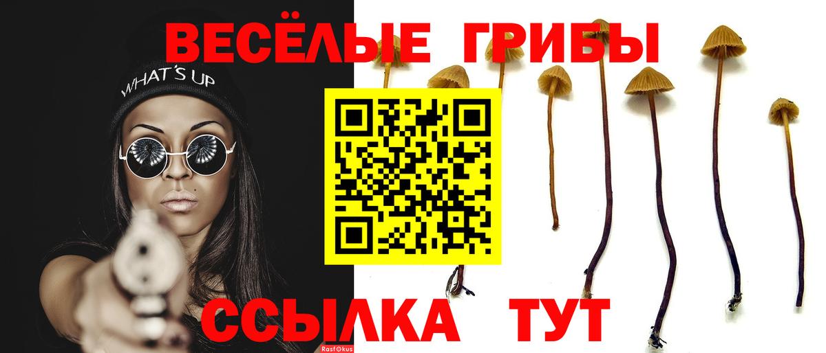Галлюциногенные грибы мухоморы Гусиноозёрск