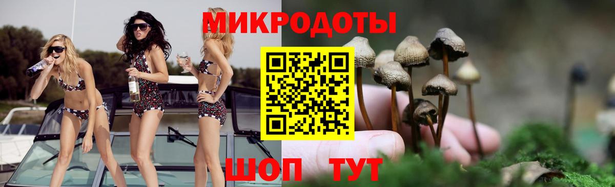 Гусиноозёрск  Псилоцибиновые грибы прущие грибы  Вход с VPN 