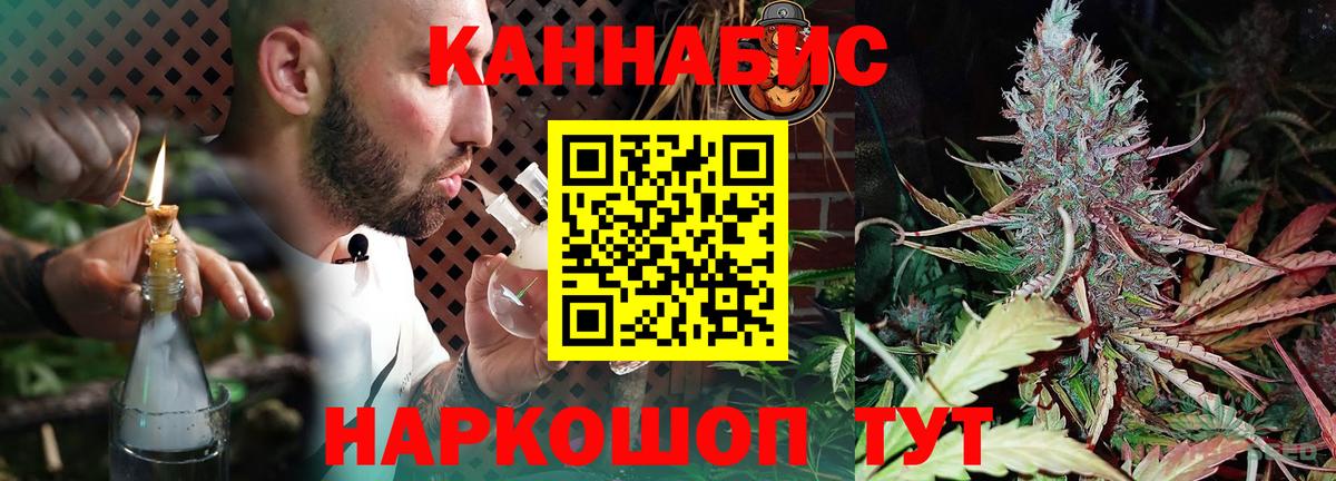 Бошки Шишки план  МАРИХУАНА семена  Вход с VPN  Гусиноозёрск  Бошки Шишки Amnesia 
